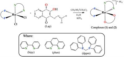 A Novel Ruthenium(II) Complex With Lapachol Induces G2/M Phase Arrest Through Aurora-B Kinase Down-Regulation and ROS-Mediated Apoptosis in Human Prostate Adenocarcinoma Cells